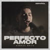 Perfecto Amor - Single