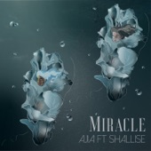 Miracle (feat. Shallise) artwork