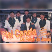 Piel canela artwork