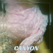 Canyon artwork