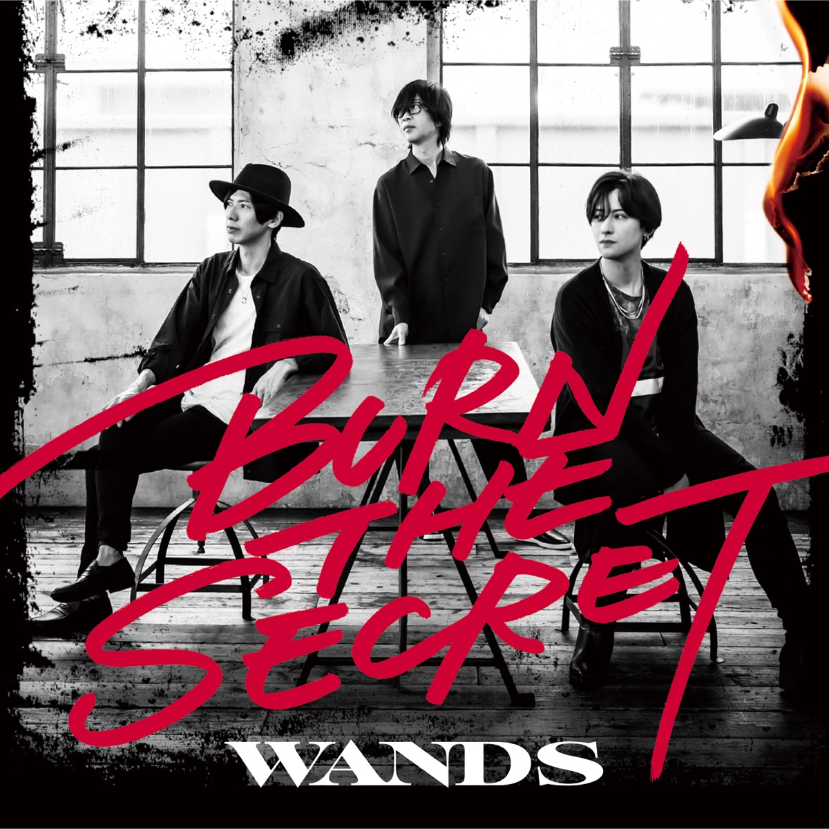 上品 WANDS SINGLES COLLECTION+6∕CD ベストアルバム seedpotatoes.com.au