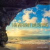 Hawaiian Summer - Hula & Hula