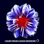 Liquid Drum & Bass Sessions 2019 Vol 6 artwork