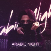 Arabic Night artwork