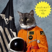 Echoes by Klaxons