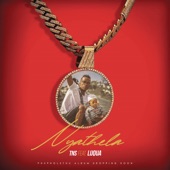 Nyathela (feat. Luqua) artwork
