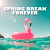 Mike Posner - I Took A Pill In Ibiza (Seeb Remix)