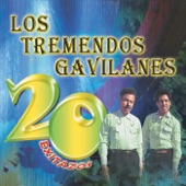 Los Tremendos Gavilanes - México Febrero 23