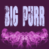 Big Purr (Prrdd) [Originally Performed by Coi Leray and Pooh Shiesty] [Instrumental] - 3 Dope Brothas