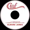 It Hurts Me Too / Elmore's Contribution to Jazz - Single album lyrics, reviews, download