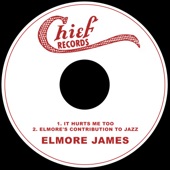 Elmore James - It Hurts Me Too