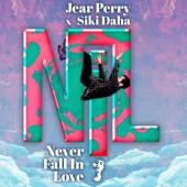 Never Fall In Love (feat. Siki Daha) artwork