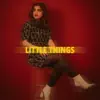 Stream & download Little Things - Single