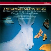 A Midsummer Night's Dream, Incidental Music, Op. 61, MWV M 13: No. 12, Music between Act V Scenes 1 & 2 - Finale "Bei des Feuers mattem Flimmern" artwork