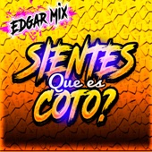 Sientes Que Es Coto? artwork