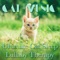 Relax My Cat - RelaxMyCat lyrics