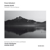 Schubert: Fantasy in C, Op. 15 D 760 "Wanderer" artwork