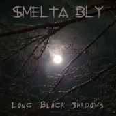 Long Black Shadows artwork