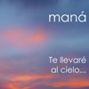 Te llevaré al cielo... - Single