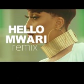 Hello Mwari (feat. Haitham Kim) artwork