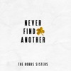 Never Find Another - Single