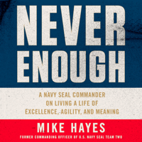 Mike Hayes - Never Enough artwork