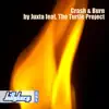 Crash and Burn (feat. The Turtle Project) [Billy Korg Remix] - Single album lyrics, reviews, download
