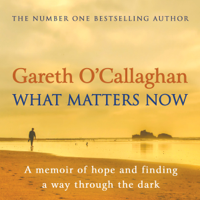 Gareth O'Callaghan - What Matters Now artwork