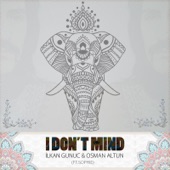 I Don't Mind (feat. Sophie) artwork