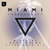 Miami Underground 2019 (After Dark DJ Mix) artwork