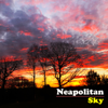 The Avett Brothers - Neapolitan Sky  artwork