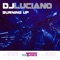 Drive Me Crazy - DJ Luciano lyrics