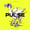 Pulse: FINAL FANTASY XIV Remix Album album lyrics, reviews, download