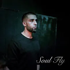 Soul Fly - Single by Usaama album reviews, ratings, credits