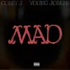 MAD (feat. Young Joseph) - Single album lyrics, reviews, download