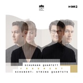 Fragment (Schubert: String Quartets) artwork