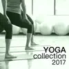2017 Yoga Collection - Relaxation Therapy Music for Healthy Body, Soul & Mind album lyrics, reviews, download