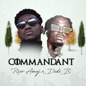 Commandant (feat. Didi B) artwork