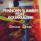 Siamese Dream (feat. Aquakultre) - Penhorn Summer lyrics