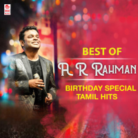 A. R. Rahman - Best of  A.R. Rahman Birthday Special Tamil Hits artwork