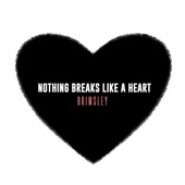 Nothing Breaks Like a Heart artwork