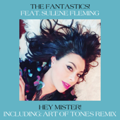 Hey Mister! (feat. Sulene Fleming) [Art of Tones Remix] - The Fantastics !