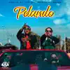 Pelando - Single album lyrics, reviews, download