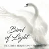 Stream & download Bird of Light - Single