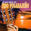 Lo Más Selecto del Trio Vegabajeño, 1999