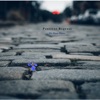 Die Blaue Blume - Single, 2017