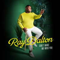 Ray Dalton - Don't Make Me Miss You artwork