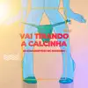Vai Tirando a Calcinha - Single album lyrics, reviews, download