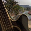 Acoustic Guitar and Birds Around My Home