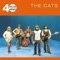 Cats - Country Woman